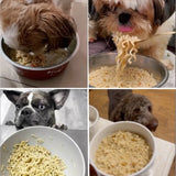 Pat Pat Noodles - Probiotic Ramen for Dogs